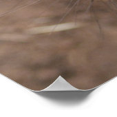 Wombat Kiss Poster (Ecke)