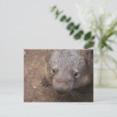 Wombat Kiss Postkarte (Stehend Vorderseite)