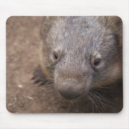 Wombat Kuss Mousepad (Vorne)