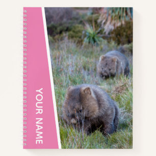 Wombat Liebe Australien Süße Tier, Rosa Notizblock