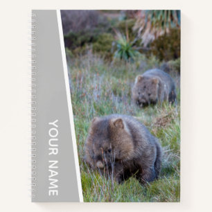 Wombat Liebe Australien Süße Tier, Silber Notizblock