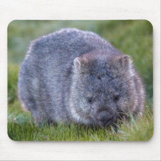 Wombat Mousepad
