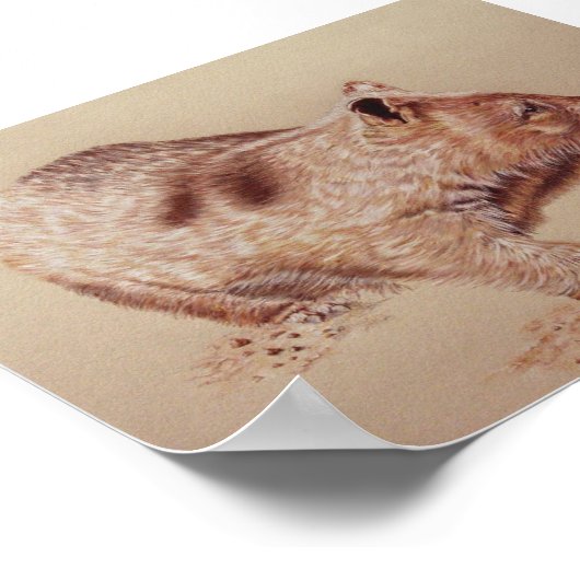 Wombat Poster (Ecke)