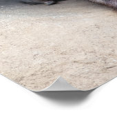 Wombat Poster (Ecke)