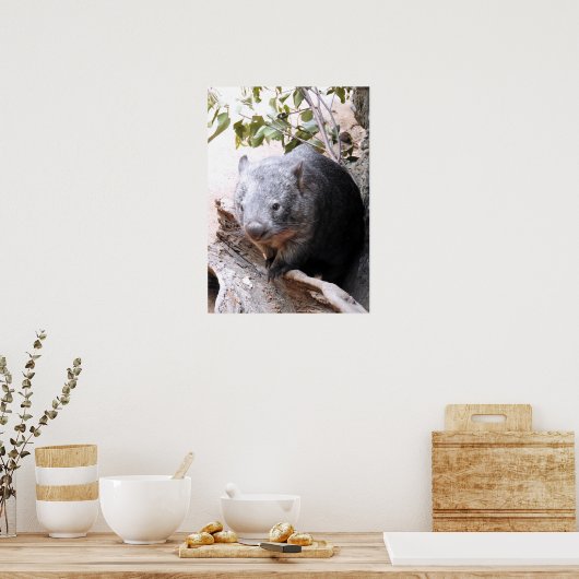 Wombat Poster (Küche)