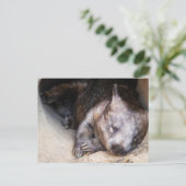 Wombat Postkarte (Stehend Vorderseite)