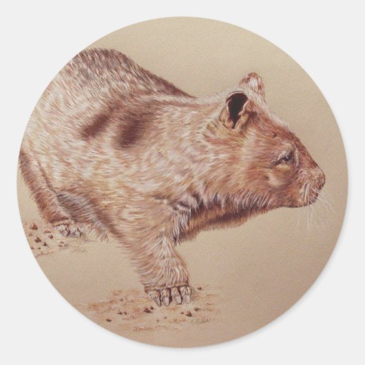 Wombat Runder Aufkleber (Vorderseite)