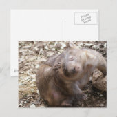 Wombat Scratch Postkarte (Vorne/Hinten)