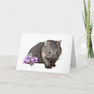 Wombat und Cooktown Orchid Karte