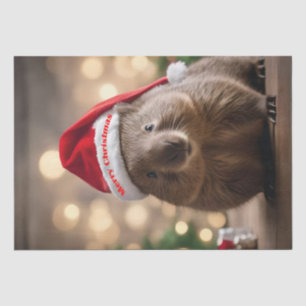 "Wombat Wonderland: Ein gemütlicher Weihnachtsaben Seidenpapier