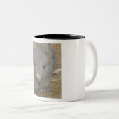 Wombat Zweifarbige Tasse (VorderseiteRechts)