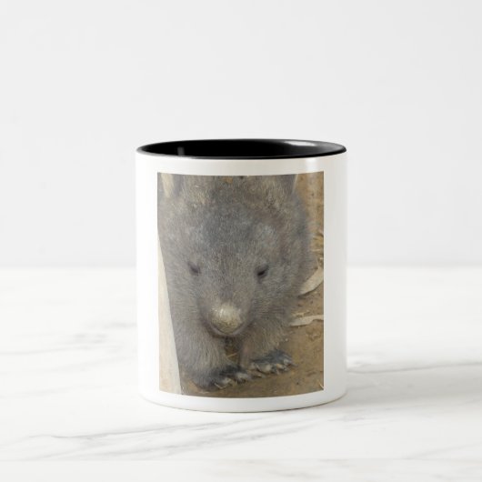 Wombat Zweifarbige Tasse (Mittel)