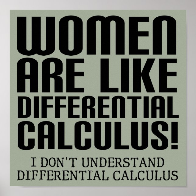 Women Differenzial Calculus Funny Poster Sign (Vorne)