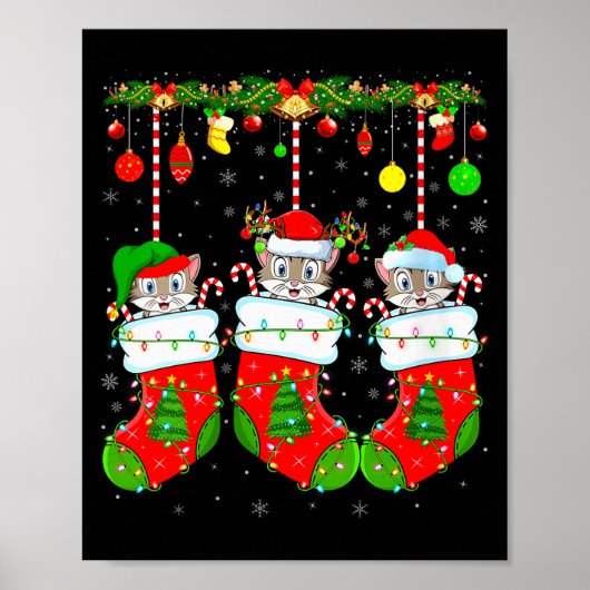 Womens Cats In Christmas Socks Funny Pet Animal Ca Poster (Vorne)