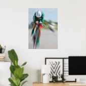 Womens Individual Time Trial No 3 Flow Version Poster (Heimbüro)