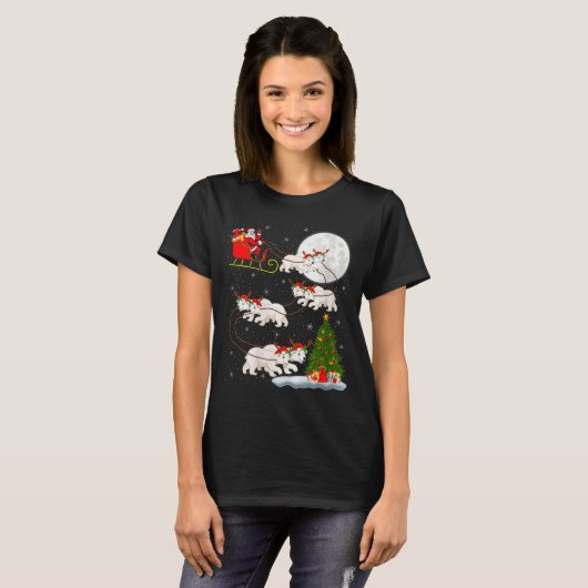 Womens Lar Bear Santa Sleigh Flying Funny Magical T-Shirt (Vorne ganz)