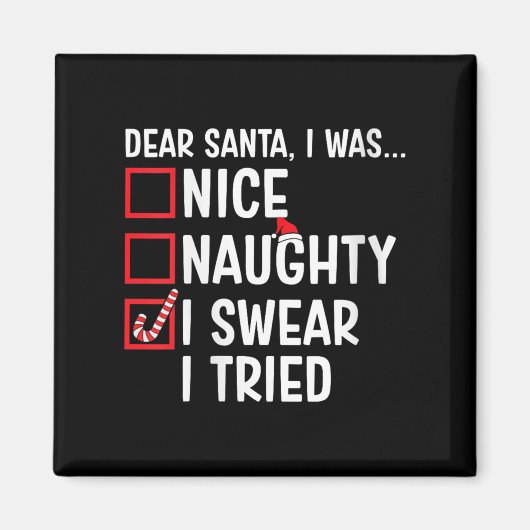 Womens Nice Naughty I Swear I Tried Funny Santa Ch Magnet (Vorne)