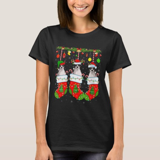 Womens Russell Terrier Dog In Christmas Socks Funn T-Shirt (Vorderseite)