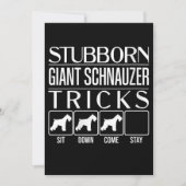 Womens Stubborn Giant Schnauzer Tricks Ankündigung (Vorderseite)