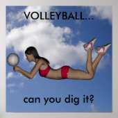 Womens Volleyball Poster (Vorne)
