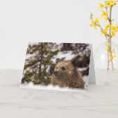 "Wonder" Holiday Card Karte (Gelbe Blume)