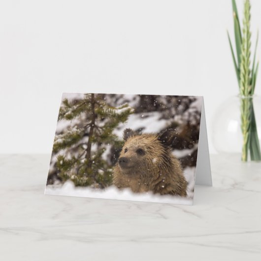 "Wonder" Holiday Card Karte (Vorderseite)