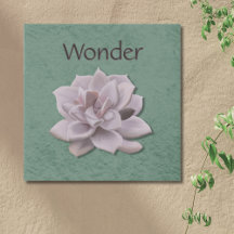 Wonder Sage Green Hand Gezeichnet Sukkulent Botani