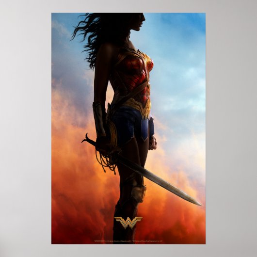 Wonder Woman Duststorm Silhouette Poster (Vorne)