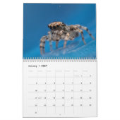 Wonderful Jumpers Kalender (Jan 2027)