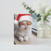 Wonderful persian cat with Santa Claus hat Postkarte (Stehend Vorderseite)