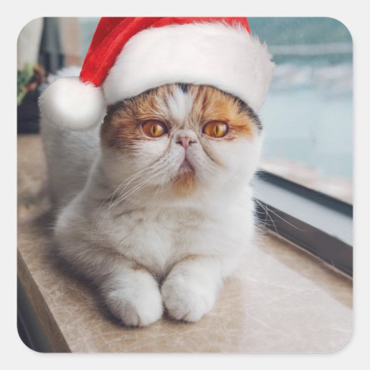 Wonderful persian cat with Santa Claus hat Quadratischer Aufkleber (Vorderseite)