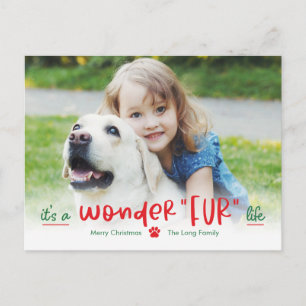 Wonderfur Life Pet Holiday Postkarte