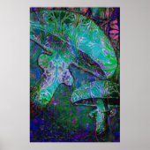 Wonderland III Poster (Vorne)