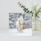 Wonderland Photo Miniature Horse Running  Karte (Stehend Vorderseite)