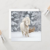 Wonderland Photo Miniature Horse Running  Karte (Vorderseite/Rückseite Beispiel)