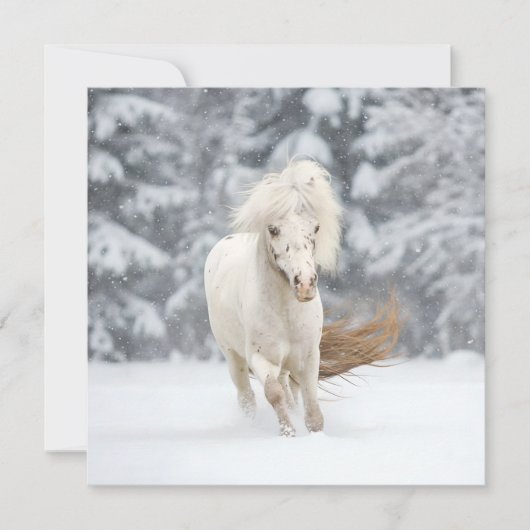 Wonderland Photo Miniature Horse Running  Karte (Vorderseite)