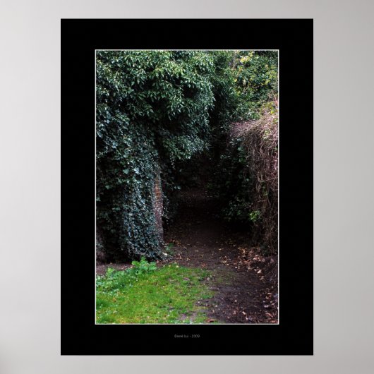 WONDERLAND Poster (Vorne)