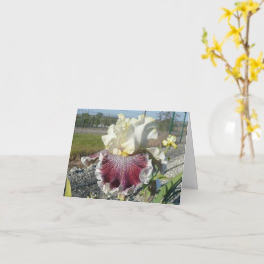 "WONDERS NIEMALS CEASE" Blank Iris Note Card Karte (Gelbe Blume)