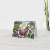 "WONDERS NIEMALS CEASE" Blank Iris Note Card Karte (Vorderseite)