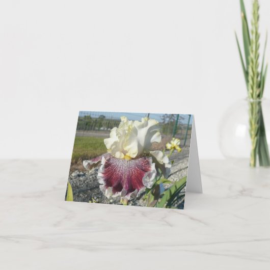 "WONDERS NIEMALS CEASE" Blank Iris Note Card Karte (Vorderseite)