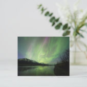 Wondrous Aurora Postkarte (Stehend Vorderseite)