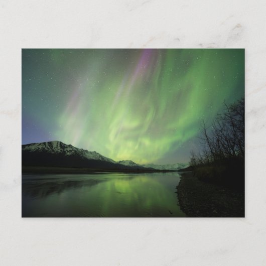 Wondrous Aurora Postkarte (Vorderseite)