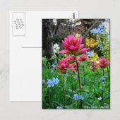 Wondrous-Wildblumen (5) Postkarte (Vorne/Hinten)