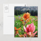 Wondrous-Wildblumen (6) Postkarte (Vorne/Hinten)