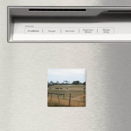 Wonthaggi Magnet (In Situ (Geschirrspüler))