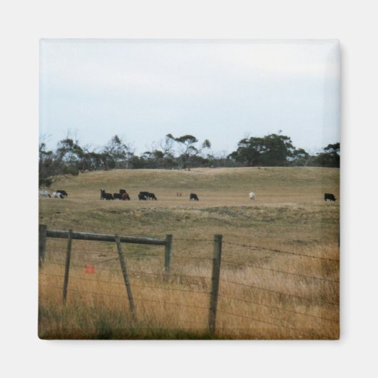 Wonthaggi Magnet (Vorne)