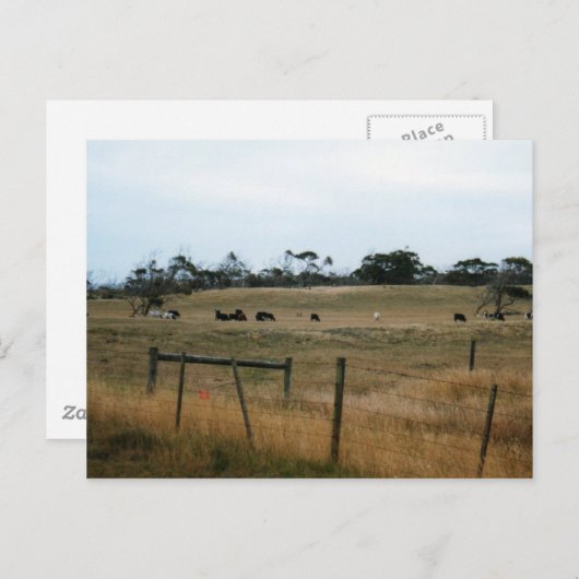 Wonthaggi Postkarte (Vorne/Hinten)