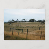 Wonthaggi Postkarte (Vorderseite)