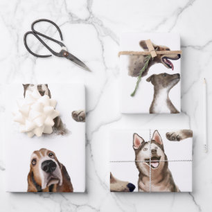 Woo lasse die Hunde aus Geschenkpapier Set