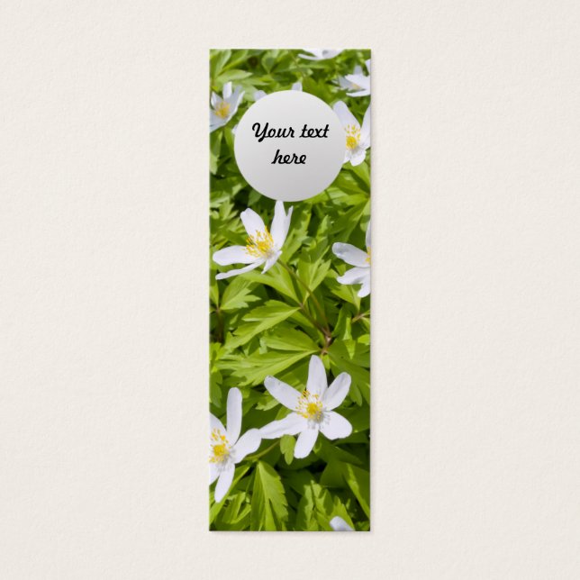 Wood Anemone (Vorderseite)